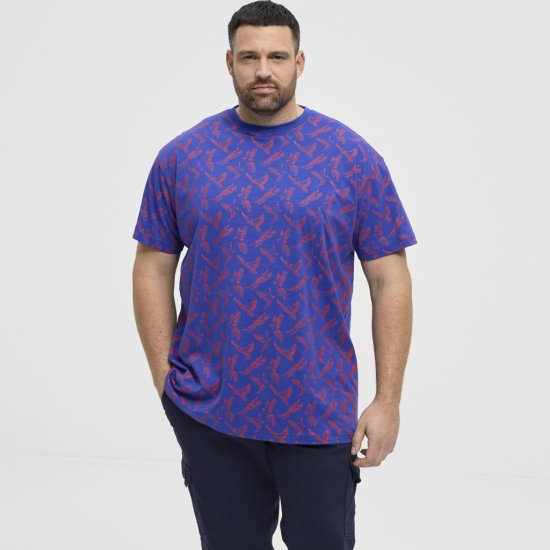 North Latitude T-Shirt Printed Allover Blue - T-skjorter - Store T-skjorter - 2XL-14XL