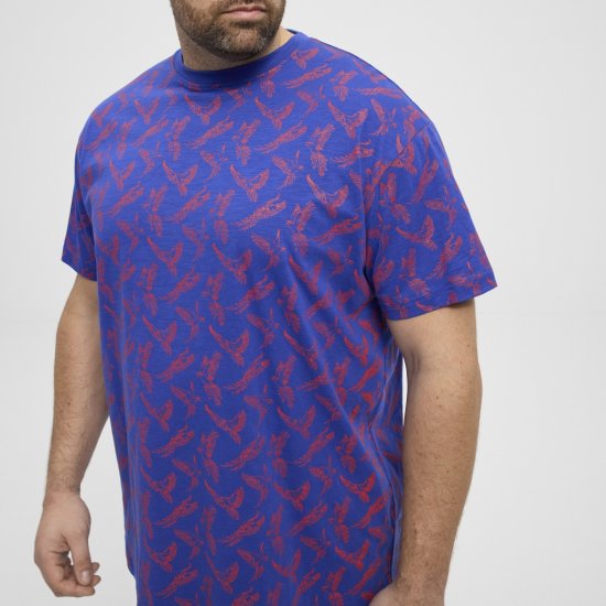 North Latitude T-Shirt Printed Allover Blue - T-skjorter - Store T-skjorter - 2XL-14XL