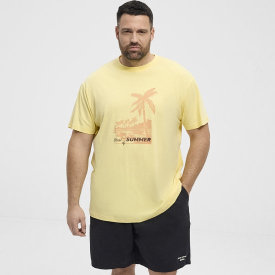 North Latitude T-Shirt Printed Yellow - T-skjorter - Store T-skjorter - 2XL-14XL