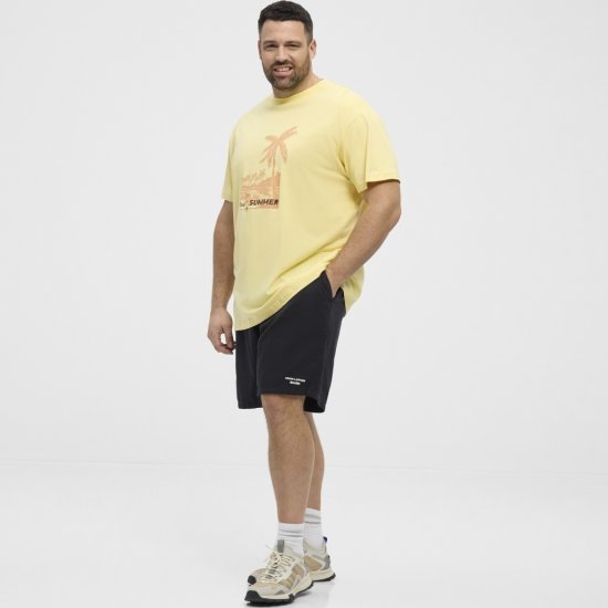 North Latitude T-Shirt Printed Yellow - T-skjorter - Store T-skjorter - 2XL-14XL