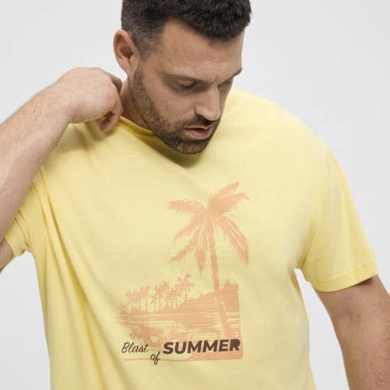 North Latitude T-Shirt Printed Yellow - T-skjorter - Store T-skjorter - 2XL-14XL
