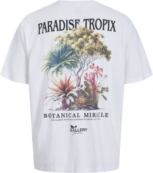 Jack & Jones Botaniq Crew Neck T-Shirt Bright White - T-skjorter - Store T-skjorter - 2XL-14XL